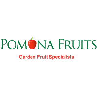 Pomona Fruits Ltd 1124780 Image 4