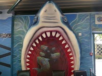 porton garden aquatics pets centre in salisbury wiltshire sp4 0la