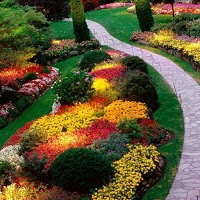 Powercut Landscape Garden Service 1128967 Image 0