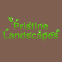 Pristine Landscapes 1115998 Image 2