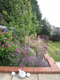 Quercus Garden Design 1103597 Image 4