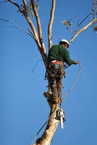 R and R Trees   Tree Surgery and Garden Landscaping 1128113 Image 0