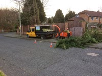 Rapid tree care Liverpool 1125670 Image 5