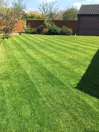 Redfearns Grass Cutting Services 1122753 Image 2