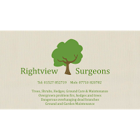 Rightview Tree Surgeons 1112856 Image 3