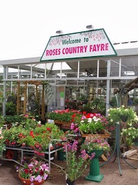 Roses Country Fayre Garden Centre 1130730 Image 8