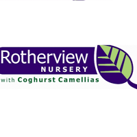 Rotherview Nursery 1129145 Image 1