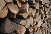 SJ Logs   logs and firewood Bath 1123631 Image 2