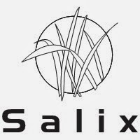 Salix   Snow clearance and winter gritting services 1104221 Image 0