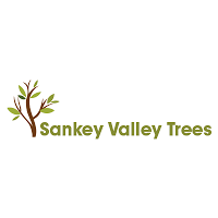 Sankey Valley Trees 1106672 Image 1