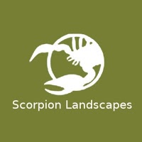 Scorpion Landscapes 1115810 Image 0