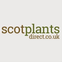 Scot Plants Direct 1122981 Image 3