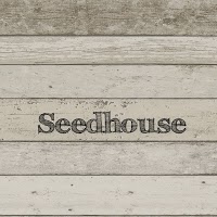 Seedhouseplants 1111490 Image 3