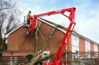 Sheffield Tree Solutions 1124205 Image 1