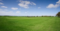 Sherborne Turf at The Lawn and Landscape Centre 1113693 Image 0