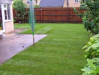 Sherborne Turf at The Lawn and Landscape Centre 1113693 Image 1
