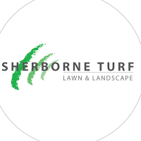 Sherborne Turf at The Lawn and Landscape Centre 1113693 Image 7