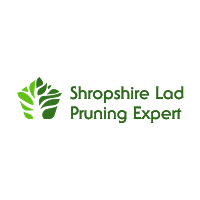 Shropshire Lad Pruning Expert 1106364 Image 1