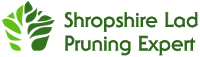 Shropshire Lad Pruning Expert 1106364 Image 2