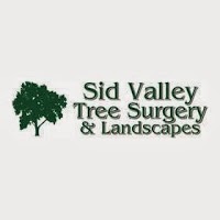Sid Valley Tree Surgery 1131181 Image 4