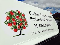 Sorbus Tree Services 1126884 Image 5