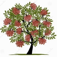 Sorbus Tree Services 1126884 Image 8