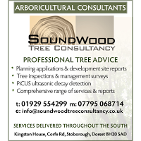 SoundWood Tree Consultancy 1131106 Image 1