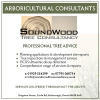 SoundWood Tree Consultancy 1131106 Image 8