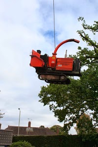 Stafford Tree Services 1129815 Image 3