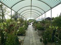 Staunton Garden Centre 1127605 Image 5