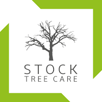 Stock Tree Care 1117114 Image 2