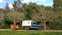 Stump Out Tree Surgery and Tree Services 1121591 Image 1