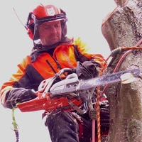 Stump Out Tree Surgery and Tree Services 1121591 Image 5