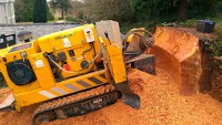 Stump Out Tree Surgery and Tree Services 1121591 Image 9