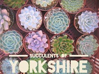 Succulents of Yorkshire 1129607 Image 0
