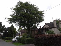 Summers Tree And Garden Services 1128799 Image 1