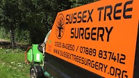 Sussex Tree Surgery 1128984 Image 2