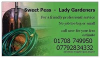 Sweet Peas Lady Gardeners 1120529 Image 0