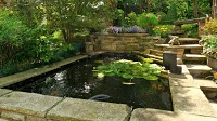 Swell UK Ltd   Garden, Pond and Aquatic Supplies 1126282 Image 0