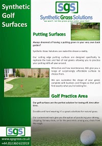 Synthetic Grass Solutions 1110563 Image 2