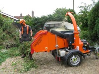 Tailored Tree Services 1127648 Image 1