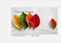 Terra Trees 1106934 Image 0
