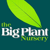 The Big Plant Nursery 1112802 Image 1