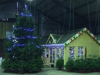 The Billingley Christmas Tree Farm 1119587 Image 2