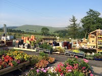 The Garden Centre at Wimberry Hill 1125939 Image 0