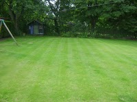 The Great Lawn Company (Lanarkshire Branch) 1115839 Image 2