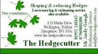 The Hedgecutter 1105550 Image 0