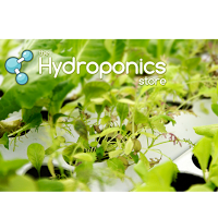 The Hydroponics Store Ltd 1112586 Image 0