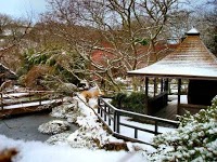 The Japanese Garden and Bonsai Nursery 1129030 Image 3