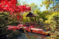 The Japanese Garden and Bonsai Nursery 1129030 Image 4